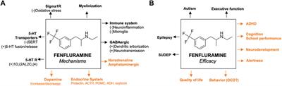 Fenfluramine: a plethora of mechanisms?